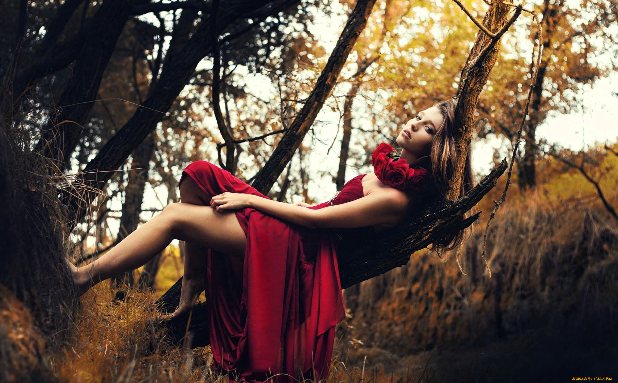 marketa novak, , - ,  , , , , , 